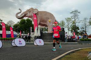 BIB: 
                            <button type="button" onclick="openModal(26528592)" class="btn btn-primary btn-sm float-right btn-popup" data-toggle="modal" data-target=".modal-high-quality">
                        <i class="fas fa-shopping-cart"></i> Add to Cart
                    </button>
                                            <button type="button" onclick="isThisMe(26528592, true)" class="btn btn-success btn-sm float-right btn-popup btn-isme hidden" data-toggle="tooltip" data-placement="bottom" title="นี่คือรูปของคุณใช่ไหม คลิกที่นี่เพื่อเอาเข้าอัลบั้ม">
                        <i class="fas fa-plus"></i> Add to album
                    </button>
                    <button type="button" onclick="isThisMe(26528592, false)" class="btn btn-warning btn-sm float-right btn-popup btn-isnotme hidden">
                        <i class="fas fa-ban"></i> Remove from album
                    </button>